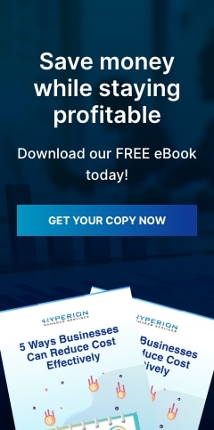 HyperionManagedServices 5Ways businesses can reduce cost effectively InnerPageBanner