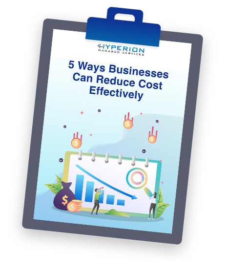 HP HyperionManagedServices 5Ways businesses can reduce cost effectively cover